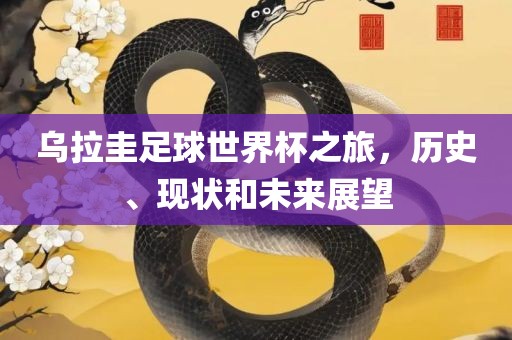 乌拉圭足球世界杯之旅，历史、现状和未来展望眉山市正发家政服务有限公司