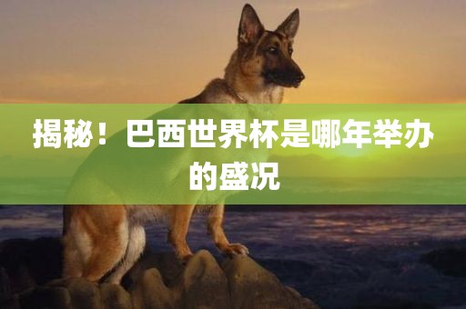 揭秘！巴西世界杯是哪年举办的盛况