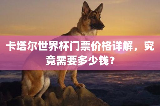 卡塔尔世界杯门票价格详解，究竟需要多少钱？