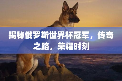 揭秘俄罗斯世界杯冠军，传奇之路，荣耀时刻