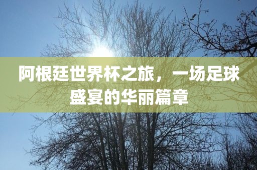 阿根廷世界杯之旅，一场足球盛宴的华丽篇章