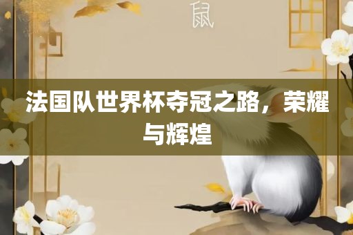 法国队世界杯夺冠之路，荣耀与辉煌