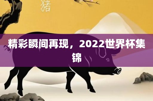 精彩瞬间再现，2022世界杯集锦