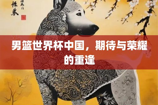 男篮世界杯中国，期待与荣耀的重逢眉山市正发家政服务有限公司