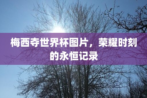 梅西夺世界杯图片，荣耀时刻的永恒记录