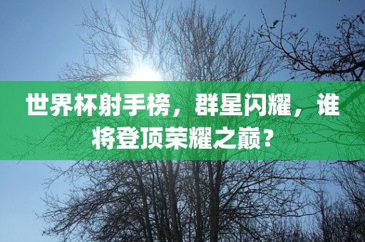 世界杯射手榜，群星闪耀，谁将登顶荣耀之巅？