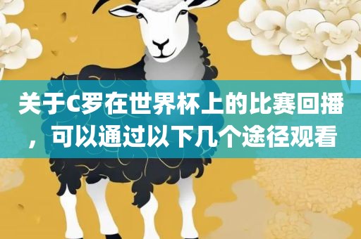 关于C罗在世界杯上的比赛回播，可以通过以下几个途径观看