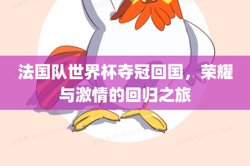 法国队世界杯夺冠回国，荣耀与激情的回归之旅