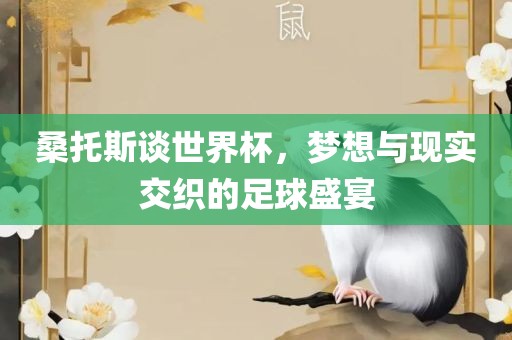 桑托斯谈世界杯，梦想与现实交织的足球盛宴