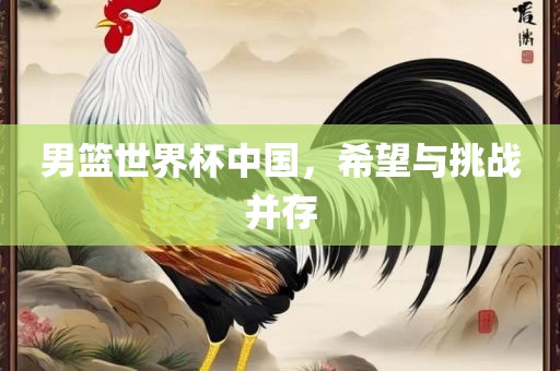男篮世界杯中国，希望与挑战并存眉山市正发家政服务有限公司