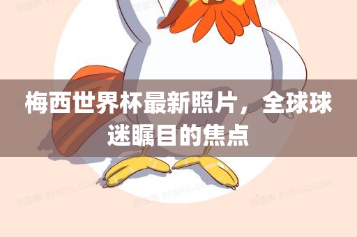 梅西世界杯最新照片，全球球迷瞩目的焦点