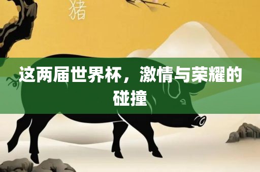 这两届世界杯，激情与荣耀的碰撞