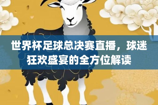 世界杯足球总决赛直播，球迷狂欢盛宴的全方位解读