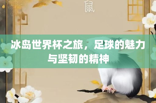 冰岛世界杯之旅，足球的魅力与坚韧的精神眉山市正发家政服务有限公司