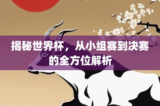 揭秘世界杯，从小组赛到决赛的全方位解析