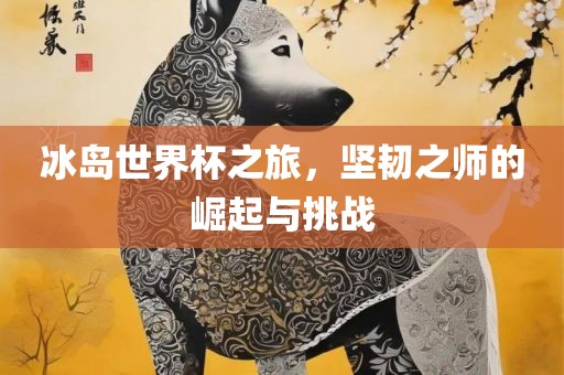 冰岛世界杯之旅，坚韧之师的崛起与挑战