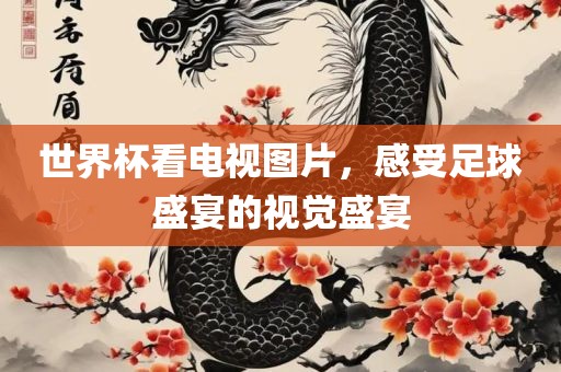 世界杯看电视图片，感受足球盛宴的视觉盛宴
