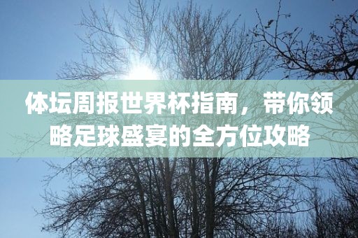 体坛周报世界杯指南，带你领略足球盛宴的全方位攻略