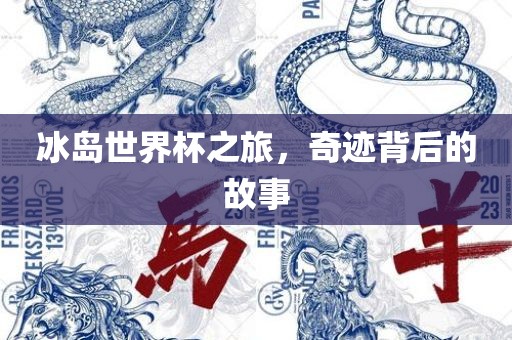 冰岛世界杯之旅，奇迹背后的故事