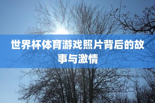世界杯体育游戏照片背后的故事与激情