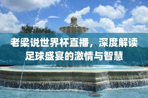 老梁说世界杯直播，深度解读足球盛宴的激情与智慧