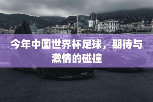 今年中国世界杯足球，期待与激情的碰撞