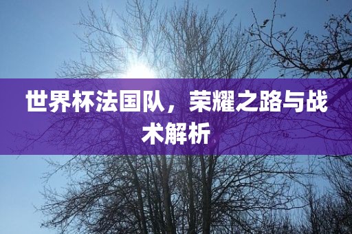 世界杯法国队，荣耀之路与战术解析