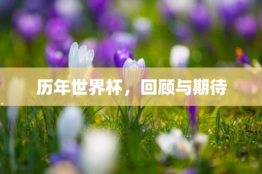 历年世界杯，回顾与期待眉山市正发家政服务有限公司