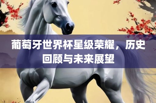 葡萄牙世界杯星级荣耀，历史回顾与未来展望