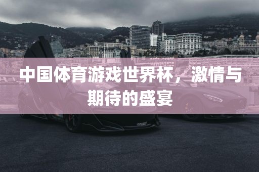 中国体育游戏世界杯，激情与期待的盛宴