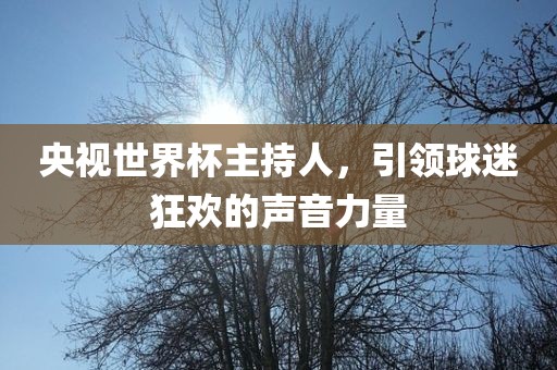 央视世界杯主持人，引领球迷狂欢的声音力量