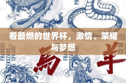 看最燃的世界杯，激情、荣耀与梦想