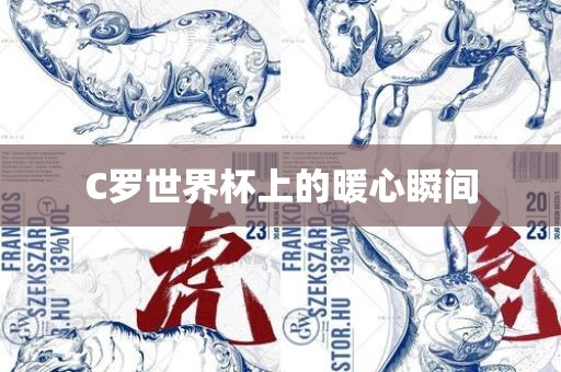 C罗世界杯上的暖心瞬间