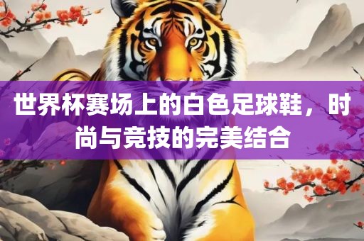 世界杯赛场上的白色足球鞋，时尚与竞技的完美结合