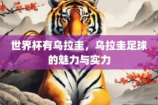 世界杯有乌拉圭，乌拉圭足球的魅力与实力