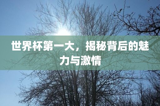 世界杯第一大，揭秘背后的魅力与激情