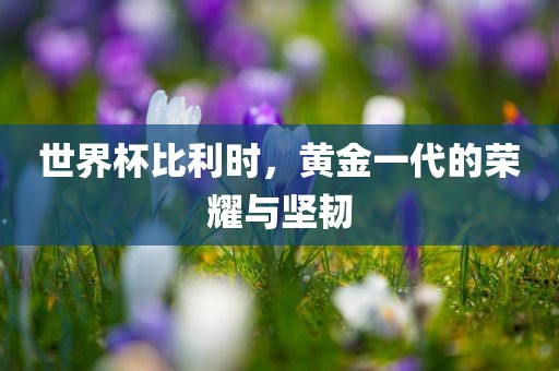 世界杯比利时，黄金一代的荣耀与坚韧