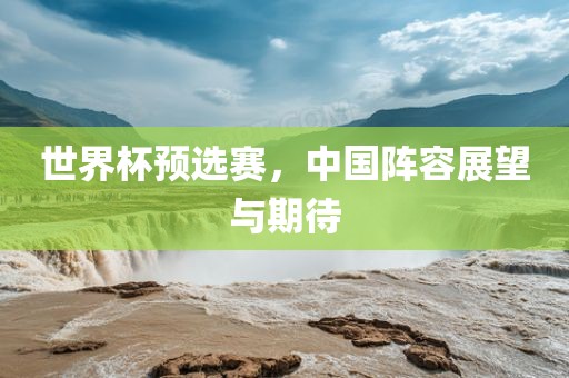 世界杯预选赛，中国阵容展望与期待