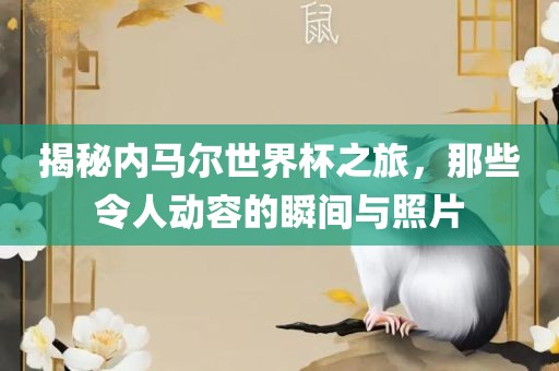 揭秘内马尔世界杯之旅，那些令人动容的瞬间与照片