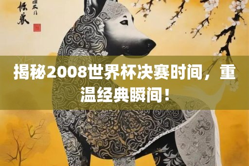 揭秘2008世界杯决赛时间，重温经典瞬间！
