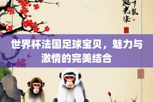 世界杯法国足球宝贝，魅力与激情的完美结合