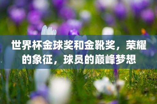 世界杯金球奖和金靴奖，荣耀的象征，球员的巅峰梦想