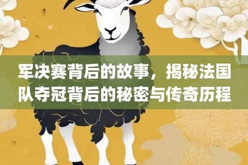 军决赛背后的故事，揭秘法国队夺冠背后的秘密与传奇历程