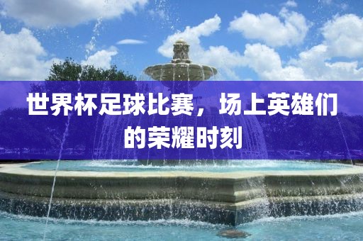 世界杯足球比赛，场上英雄们的荣耀时刻