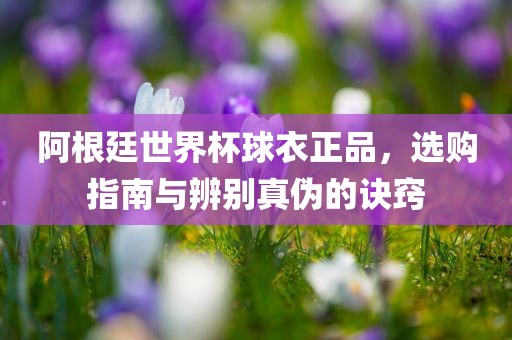 阿根廷世界杯球衣正品，选购指南与辨别真伪的诀窍