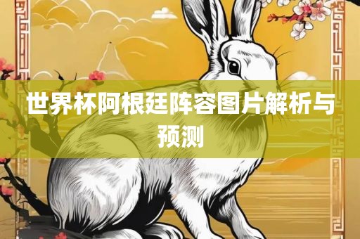 世界杯阿根廷阵容图片解析与预测