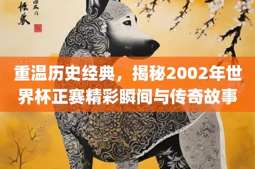 重温历史经典，揭秘2002年世界杯正赛精彩瞬间与传奇故事