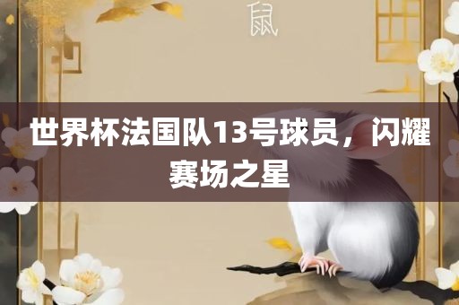 世界杯法国队13号球员，闪耀赛场之星