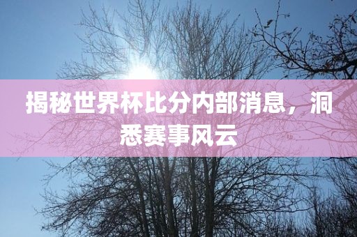 揭秘世界杯比分内部消息，洞悉赛事风云