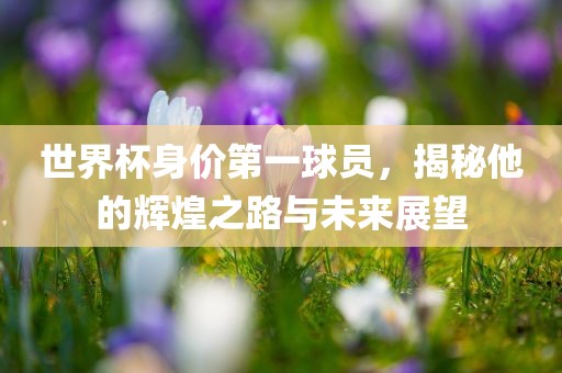 世界杯身价第一球员，揭秘他的辉煌之路与未来展望